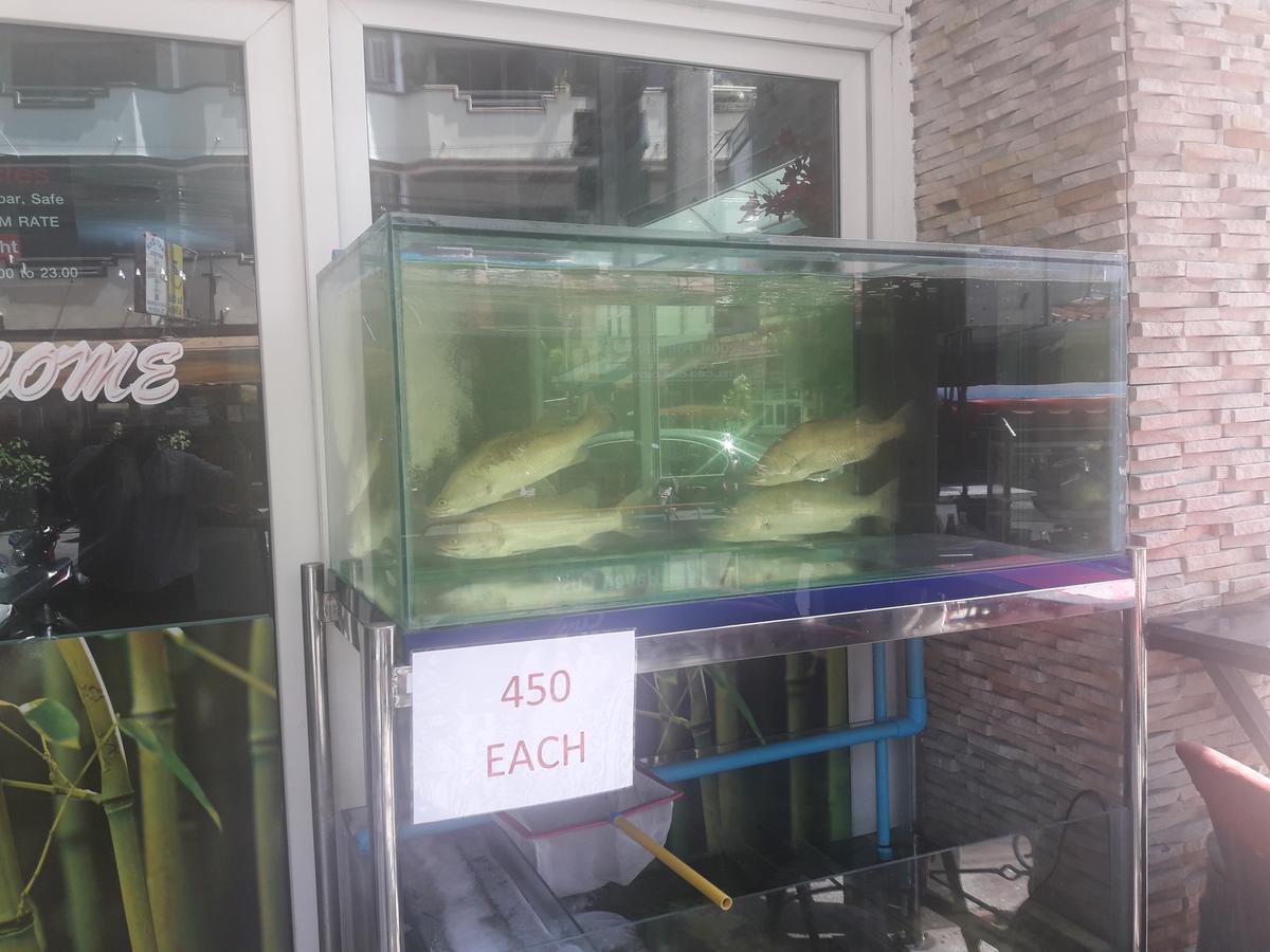 The Haven Hotel & Restaurant Pattaya Ngoại thất bức ảnh